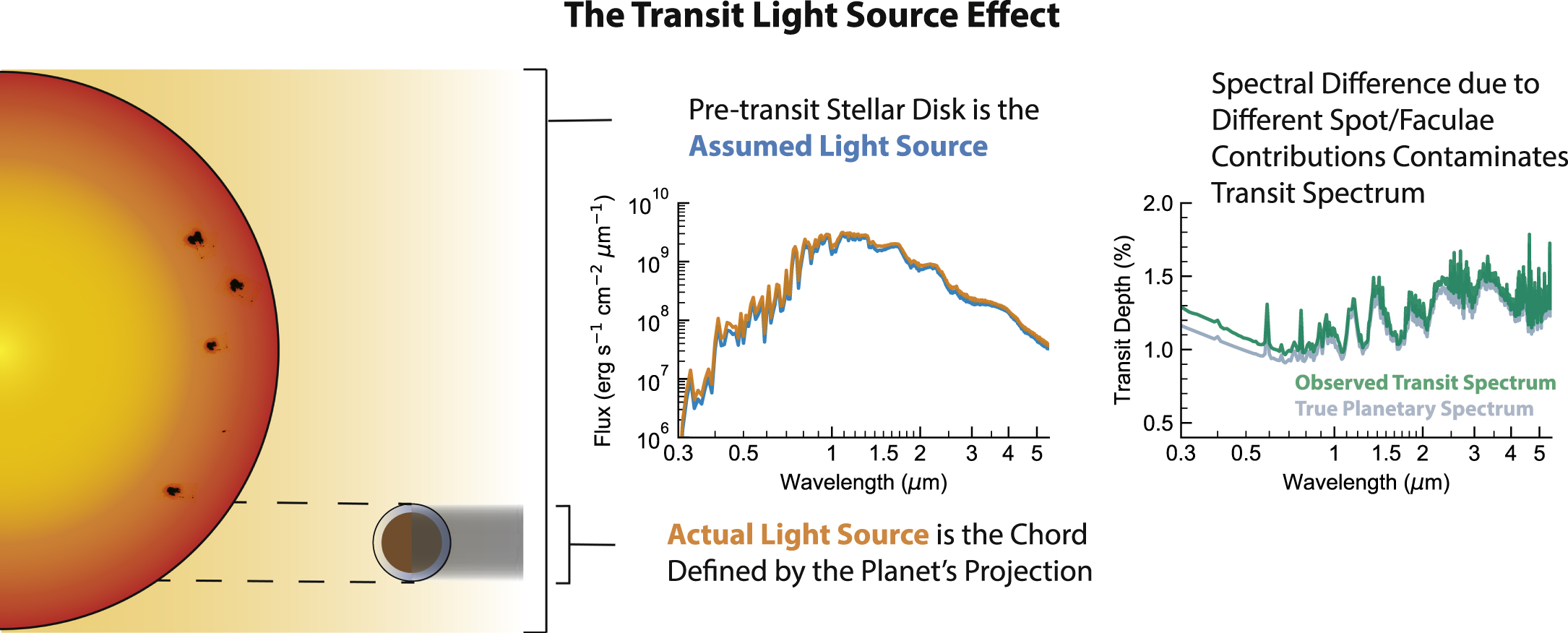 Stellar Contamination